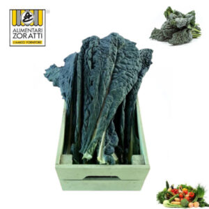 cavolo-nero-toscano-cassetta