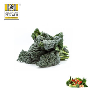 cavolo-nero-toscano-cespo