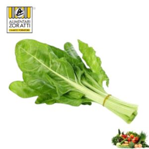 erbette-kg