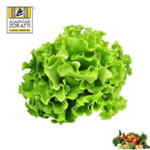 insalata-gentile-cespo