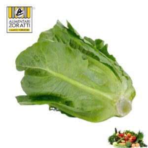 insalata-romana-cespo