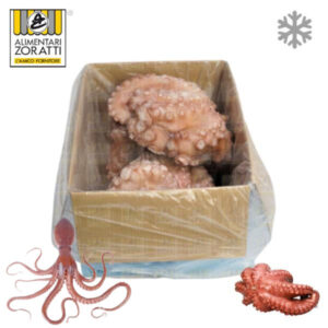 polipo-marocco-cartone-da-kg-11-00-a-kg-12-00-c-ca-pezzi-da-kg-2-00-a-kg-3-00-c-ca-iqf--individual-quick-freezing-gelo