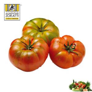 pomodoro-costoluto-kg