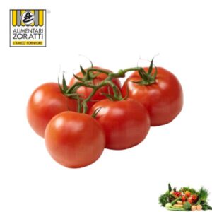 pomodoro-marocco-kg