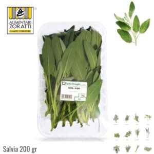 salvia-fresca-gr-200-in-vaschetta