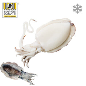 seppia-pulita-10-buste-da-750-gr-seppie-gelo-cal-20/40