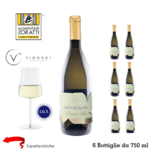 sauvignon-linea-natura-6-bottiglie-da-ml-750-igt-cantina-vigna-61-veneto-
