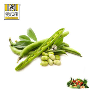 fave-fresche-extra-kg