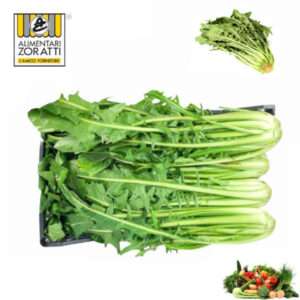 catalogna-cicoria-cassetta