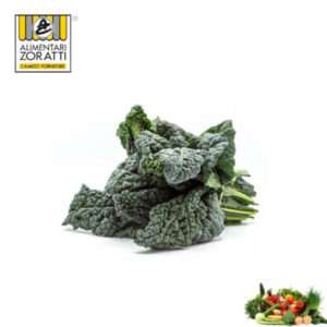 cavolo-nero-toscano-cespo