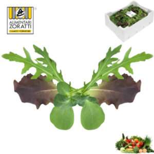 insalata-babyleaf-mix-gr-800-4-gusti-cassetta