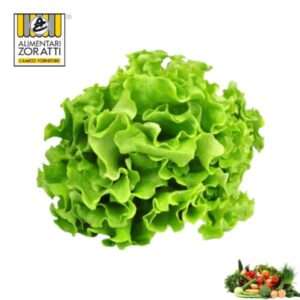insalata-gentile-cespo