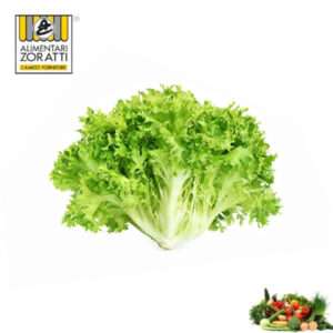 insalata-riccia-cespo