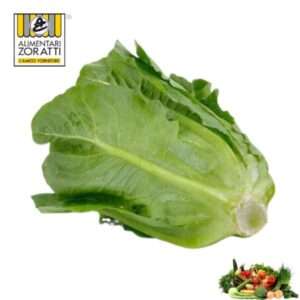 insalata-romana-cespo