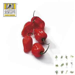 peperoncino-habanero-kg