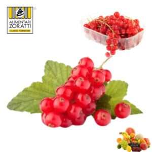 ribes-confezione-gr-125