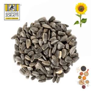 semi-di-girasole-da-kg-1-00