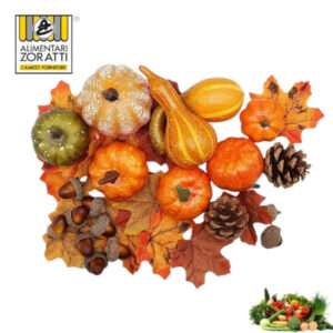 zucca-decorativa-kg