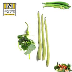 zucchina-lunga-siciliana-kg-zucca-lagenaria-