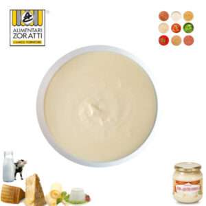 crema-al-parmigiano-reggiano-vasetto-gr-580